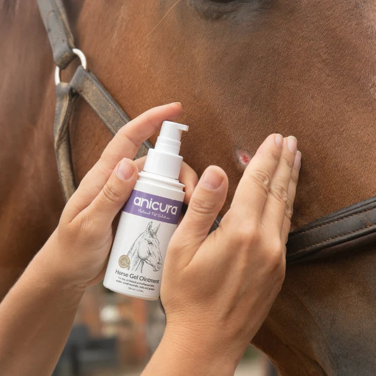 Horse Gel Ointment